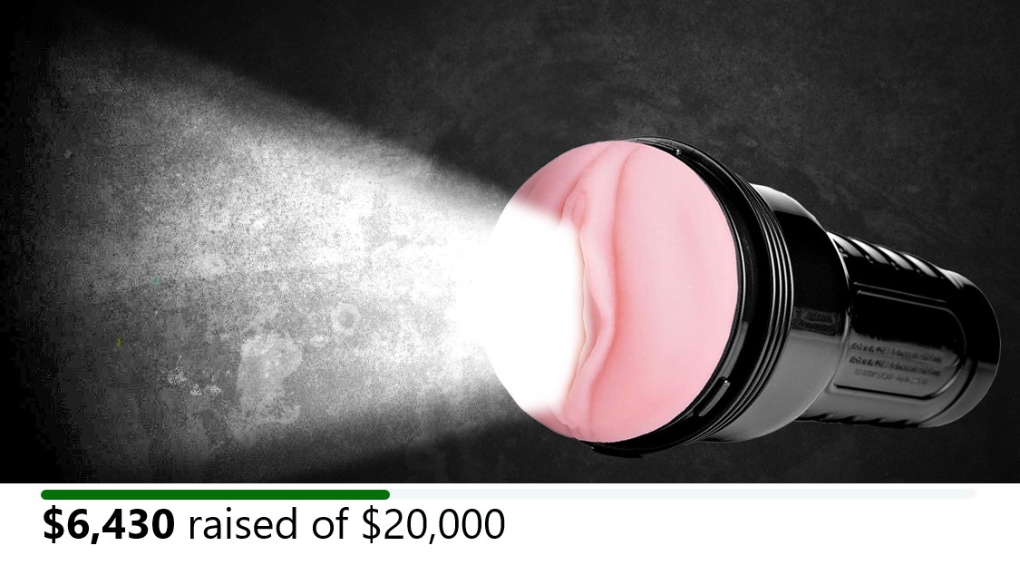 Amazon.com: Fleshlight | Pink Lady Original | Male Sex Toy