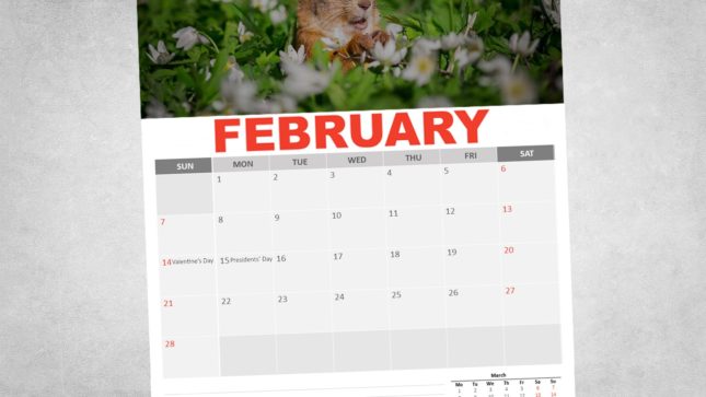 A calendar that says February in red uppercase letters with a squirrel on it surrounded by white flowers. The calendar is against a white-gray background.